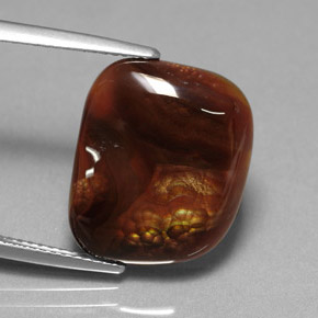 Agate de feu multicolore naturelle transparent, 9,24 ct, transparent / translucide