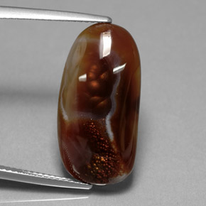 Agate de feu multicolore naturelle transparent, 10,85 ct, transparent / translucide