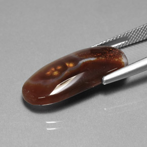 Agate de feu multicolore naturelle transparent, 10,85 ct, transparent / translucide