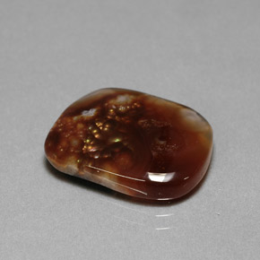 Agate de feu multicolore naturelle transparent, 8,03 ct, transparent / translucide