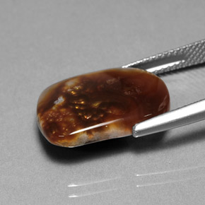 Agate de feu multicolore naturelle transparent, 8,03 ct, transparent / translucide