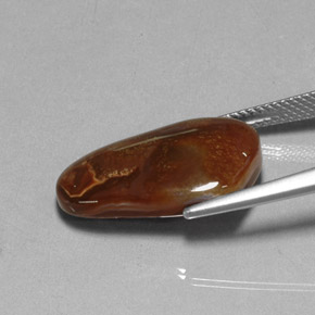 Agate de feu multicolore naturelle transparent, 9,15 ct, transparent / translucide