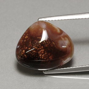 Agate de feu multicolore naturelle transparent, 7,46 ct, transparent / translucide