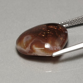 Agate de feu multicolore naturelle transparent, 7,46 ct, transparent / translucide