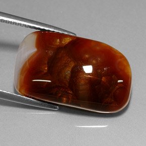 Agate de feu multicolore naturelle transparent, 11,41 ct, transparent / translucide