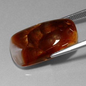 Agate de feu multicolore naturelle transparent, 11,41 ct, transparent / translucide