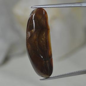 Agate de feu multicolore naturelle forme fantaisie, 10,02 ct, translucide