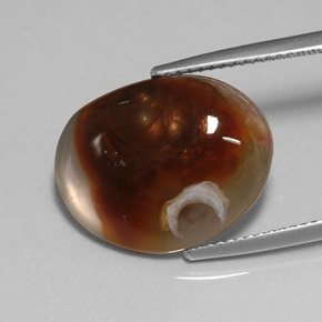 Agate de feu multicolore naturelle transparent, 8,25 ct, transparent / translucide