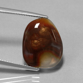 Agate de feu multicolore naturelle transparent, 8,09 ct, transparent / translucide