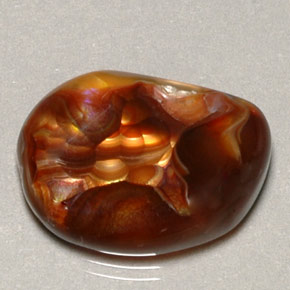 Agate de feu multicolore naturelle transparent, 9,10 ct, transparent / translucide