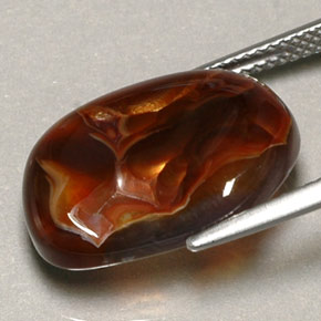 Agate de feu multicolore naturelle transparent, 9,10 ct, transparent / translucide