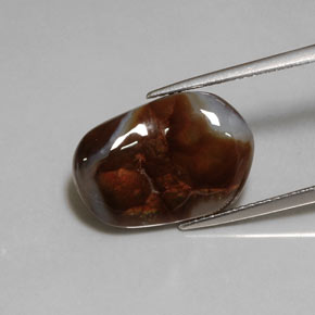 Agate de feu multicolore naturelle transparent, 7,02 ct, transparent / translucide