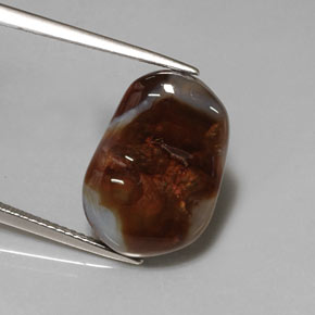 Agate de feu multicolore naturelle transparent, 7,02 ct, transparent / translucide