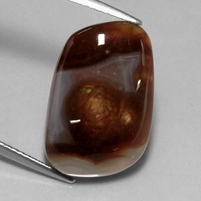 Agate de feu multicolore naturelle transparent, 10,11 ct, transparent / translucide