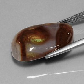 Agate de feu multicolore naturelle transparent, 10,11 ct, transparent / translucide