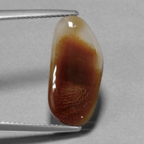 Agate de feu multicolore naturelle transparent, 6,66 ct, transparent / translucide