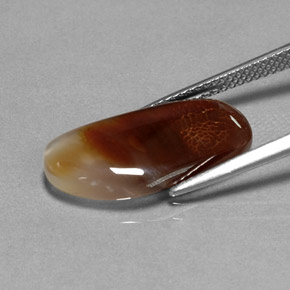 Agate de feu multicolore naturelle transparent, 6,66 ct, transparent / translucide