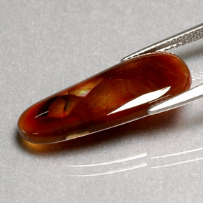Agate de feu multicolore naturelle transparent, 7,70 ct, transparent / translucide