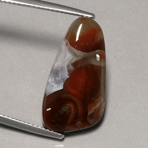 Agate de feu multicolore naturelle transparent, 8,86 ct, transparent / translucide