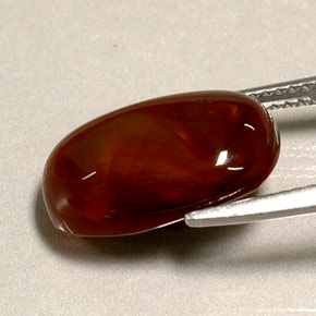 Agate de feu multicolore naturelle transparent, 4,95 ct, transparent / translucide