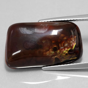Agate de feu multicolore naturelle forme fantaisie, 15,26 ct, opaque