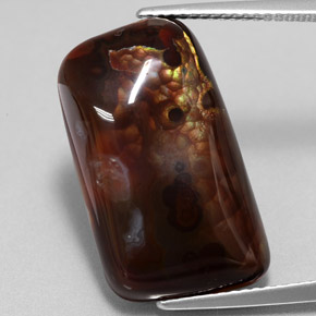 Agate de feu multicolore naturelle forme fantaisie, 15,26 ct, opaque