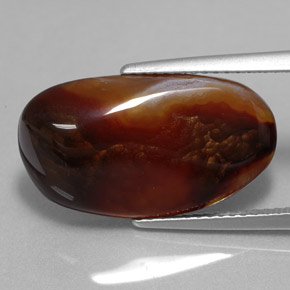 Agate de feu multicolore naturelle forme fantaisie, 8,52 ct, opaque