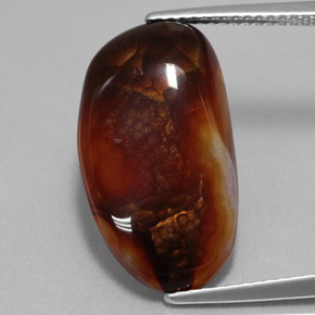 Agate de feu multicolore naturelle forme fantaisie, 8,52 ct, opaque