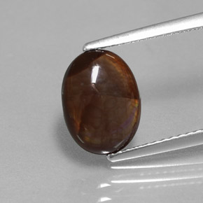 Agate de feu multicolore naturelle coupe ovale, 2,14 ct, opaque