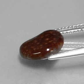 Agate de feu multicolore naturelle forme fantaisie, 2,22 ct, opaque