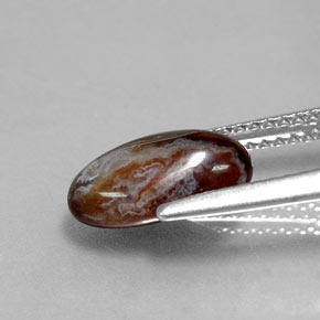Agate de feu multicolore naturelle forme fantaisie, 2,17 ct, opaque
