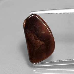Agate de feu multicolore naturelle forme fantaisie, 2,34 ct, opaque