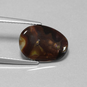 Agate de feu multicolore naturelle forme fantaisie, 3,13 ct, opaque