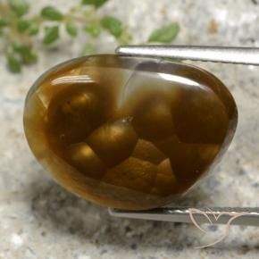 Agate de feu Multicolore naturelle Fantaisie, 9.24 ct, Translucide