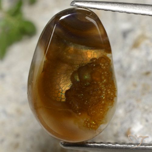 6.92ct Naturel Multicolore Agate de feu, Fantaisie, Translucide