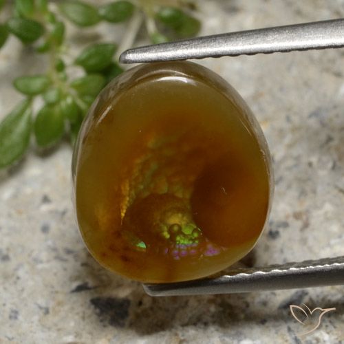 4.42ct Naturel Multicolore Agate de feu, Fantaisie, Translucide