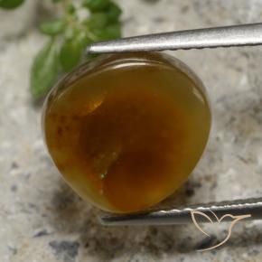 Agate de feu Multicolore naturelle Fantaisie, 4.42 ct, Translucide