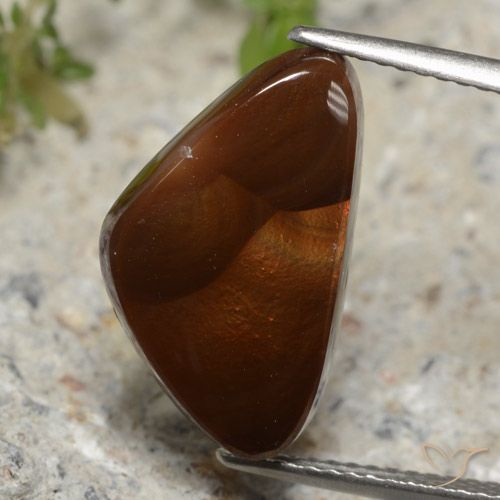 5.76ct Naturel Multicolore Agate de feu, Trillion, Translucide