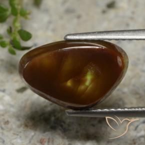 Agate de feu Multicolore naturelle Trillion, 3.68 ct, Translucide