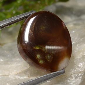 Agate de feu Multicolore naturelle Forme fantaisie, 4.28 ct, Translucide