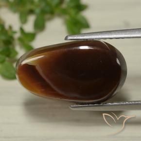 Agate de feu Multicolore naturelle Fantaisie, 5.25 ct, Translucide