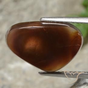 Agate de feu Multicolore naturelle Trillion, 5.37 ct, Translucide