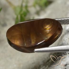 Agate de feu Multicolore naturelle Fantaisie, 4.24 ct, Translucide