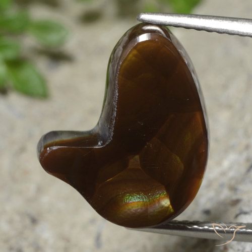 6.76ct Naturel Multicolore Agate de feu, Fantaisie, Translucide