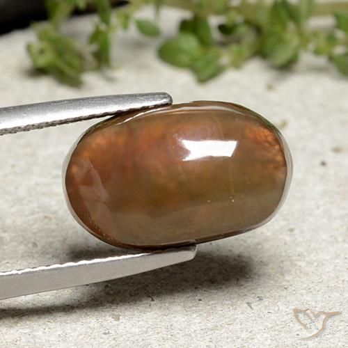 Agate de feu Multicolore naturelle ovale, 6.66 ct, Opaque