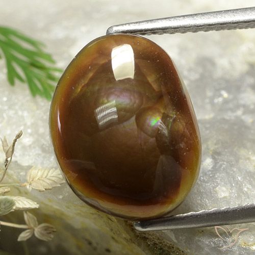 5.37ct Naturel Multicolore Agate de feu, Fantaisie, Opaque