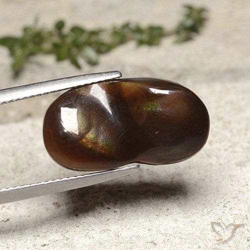 10.91ct Naturel Multicolore Agate de feu, Fantaisie, Opaque