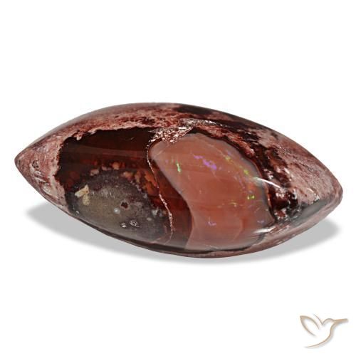 Opale de feu multicolore naturelle marquise, 15,89 ct, opaque