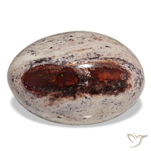 Opale de feu multicolore de 27,35 ct, ovale, opaque