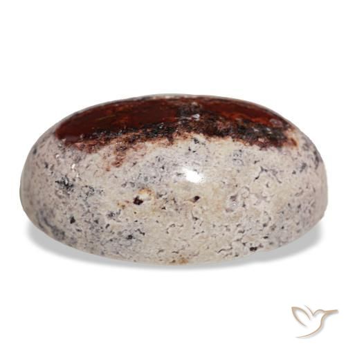 Opale de feu multicolore naturelle coupe ovale, 27,35 ct, opaque
